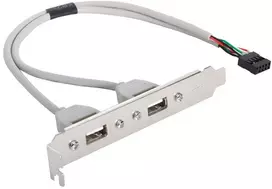 Chenyang 40cm dvigubas Usb 2.0 A tipo moteriškas į motininės plokštės 9 kontaktų jungties kabelis su Pci laikiklio varžtų panele