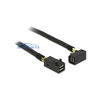 DeLOCK 0.5m, 2xMini SAS HD SFF-8643