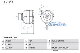 Alternatoras AUSTIN METRO MINI MONTEGO FORD CAPRI ESCORT FIESTA GRANADA ORION SCORPIO SIERRA TAUNUS MG METRO ROVER MONTEGO 31100 31110 31120 31130