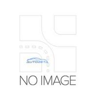 Nozlis Ir Laikiklis Kia Sedona I Kia Carnival I Nozlis Ir Laikiklis 977101A000 977101A001
