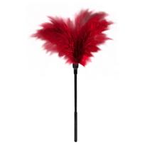 Plunksnų kutiklis Dreamtoys Blaze, raudonas, 32 cm