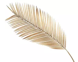 Dirbtinė šakelė Decoris Palm leaf, aukso, 120 cm
