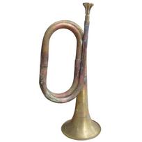 Kariniai ir pėstininkų ragai, Atakos ragas, Mažas žalvarinis ragas, Būgnų ir ragų ansamblio instrumentai, Didelis trimitas, Pučiamieji instrumentai prekybai.