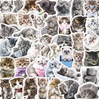 64 Cute Cartoon Stickers: Cats & Kittens for Decor - Perfect for Suitcases, Guitars, Phone Cases gray