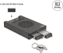 DeLOCK 3.5? Wechselrahmen fr 2 x M.2 NVMe SSD mit Slim SAS SFF-8654 Anschluss (47117)