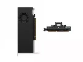 Vaizdo plokštė LENOVO NVIDIA RTX PRO 4000 BLACKWELL SFF 24GB, 4XMINI-DP