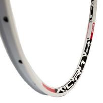 Ratlankis 26'' (559x19) DTSwiss XR 4.2D d-brake, 24H (balta)