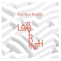 Dviguba vinilinė plokštelė LABYRINTH