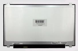 AUO Ekranas 17.3", 1600x900, 60Hz, blizgus, 30pin, kairėje, IPS