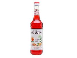 MONIN Orange Spritz sirupas 250ml