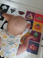 Lavinamosios Montessori kortelės kūdikiams (16 vnt.)