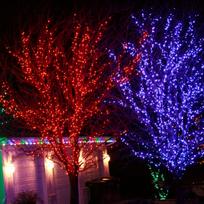 480 LED profesionali lauko girlianda PRO PLIUS ST CL8 IP67 : LED lempučių spalva - Žalia (GN)