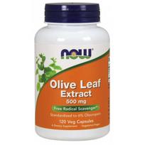 Now Foods Olive Leaf Extract 500 mg 120 vcaps