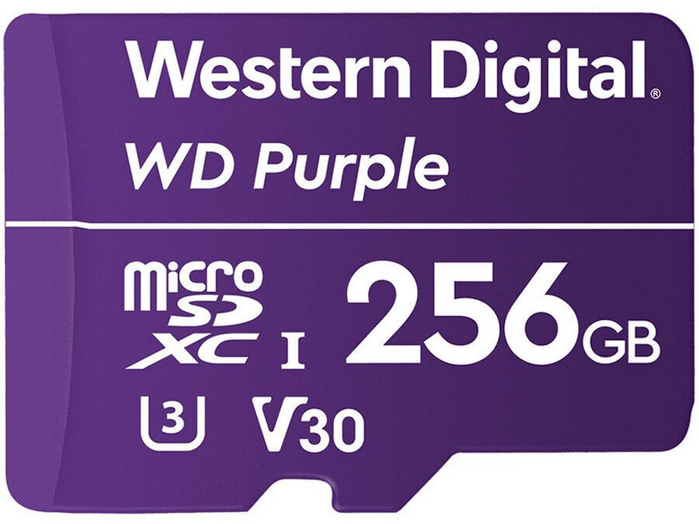 WesternDigitalMicroSDXC256GBClass10WDD256G1P0C