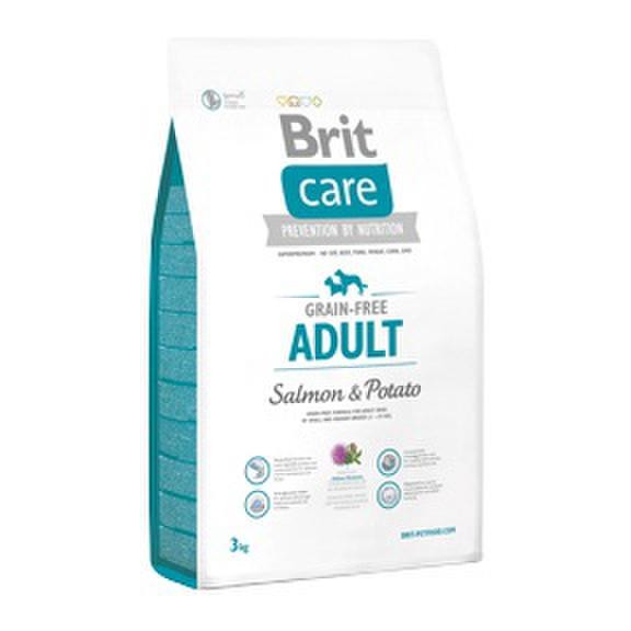 Brit care outlet senior salmon potato