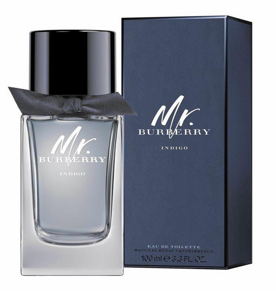 mr burberry 100ml edt