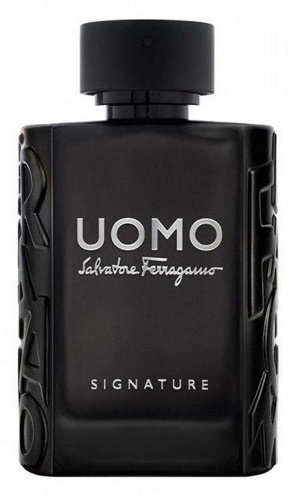 ferragamo uomo edp