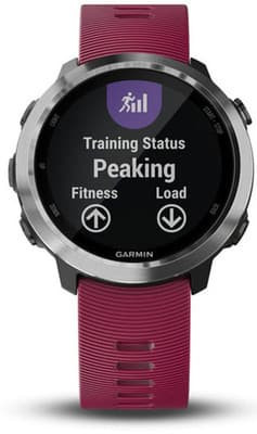 garmin forerunner 645 kaina