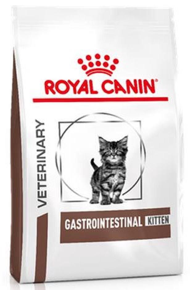 royal canin gastrointestinal kitten food