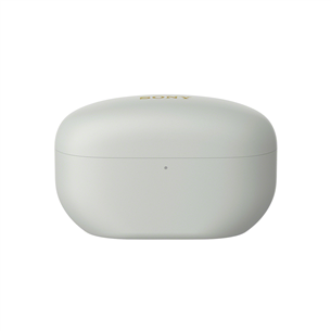 Nuo 184.45 €] Sony WF-1000XM5 Silver (Sidabrinės) | Kainos.lt