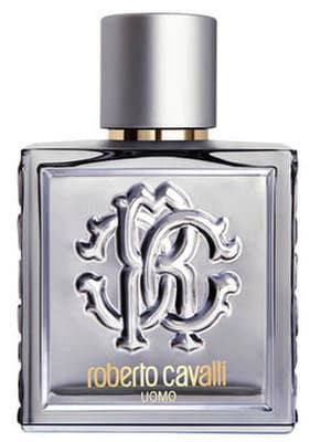 roberto cavalli uomo silver essence eau de toilette