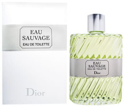 christian dior eau sauvage eau de toilette 100ml