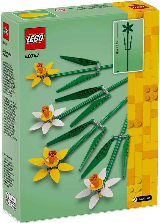 LEGO Creator narcizai 40747 kaina nuo 8.49 € | Kainos.lt