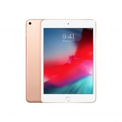 ipad-mini-5-2019-wi-fi-256gb-