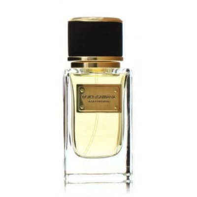 dolce gabbana velvet patchouli