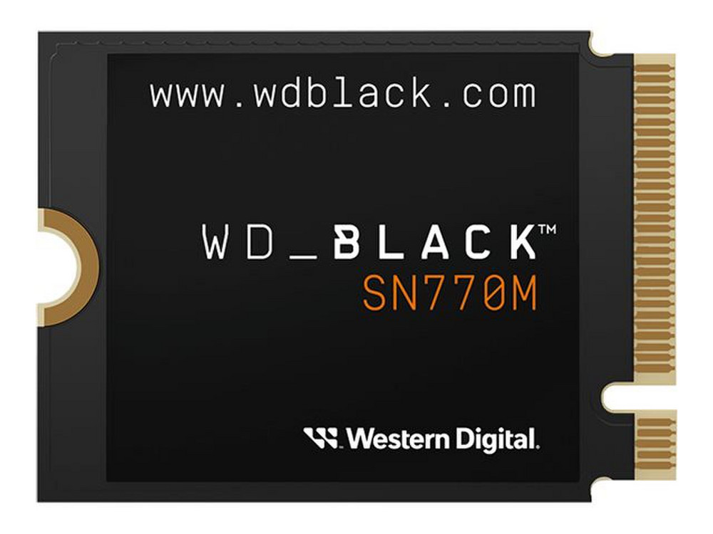 WesternDigitalBlackSN770M1TBWDS100T3X0G