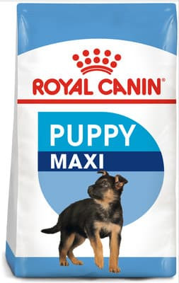 royal canin puppy maxi food