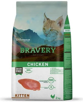 bravery chicken kitten