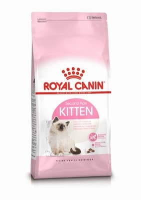 royal canin kitten kaina