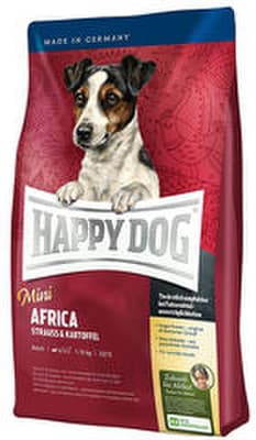 mini africa happy dog