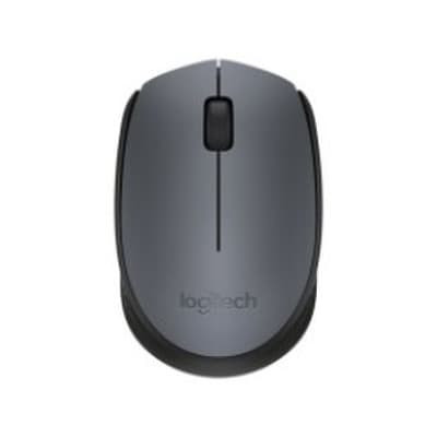 logitech m171 kaina