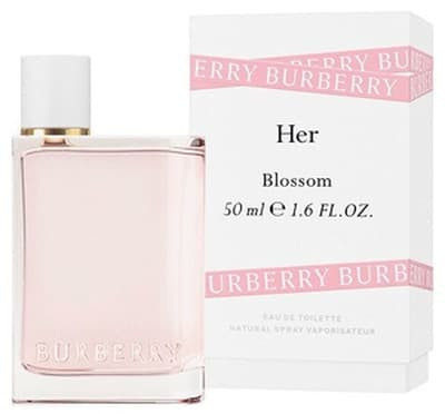 burberry her kaina