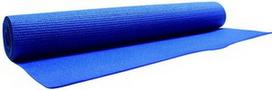 Kilimėlis fitnesui ir jogai EB Fit Exercise Mat 170x60x0.3cm Blue