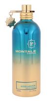 Montale Paris Aoud Lagoon EDP 100ml