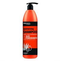 Chantal Prosalon drėkinamasis plaukų šampūnas Aloe & Pomegranate 1000g