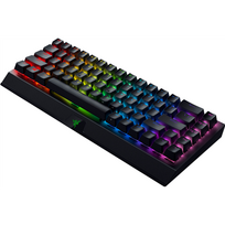 Razer Blackwidow hotsell v3 Keyboard