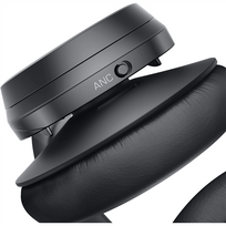 bluetooth ausines anc - Dell Premier Wireless ANC WL7022  - 6 nuotrauka