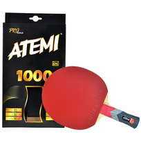 ATEMI 1000