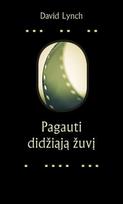 Pagauti didžiąją žuvį. Meditacija, sąmonė, kūrybingumas