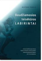 Baudžiamosios teisėkūros labirintai. Lietuvos Aukščiausiojo Teismo Senato nutarimas ir teismų praktika taikant Baudžiamojo kodekso 178 ir 180 straipsnius