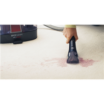 BISSELL BS3698N SpotClean