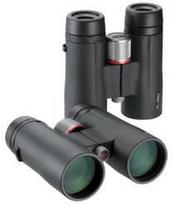 Kowa BD 8x32 XD Prominar