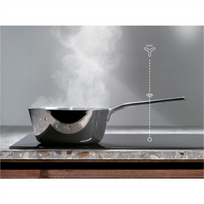 gartraukiai imontuojami - Electrolux LFG719R - 2 nuotrauka