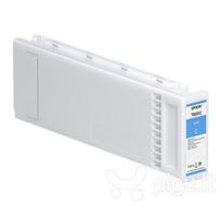 Epson C13T800200