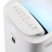 oro jonizatorius - Sharp UA-KIL80E-W - 5 nuotrauka
