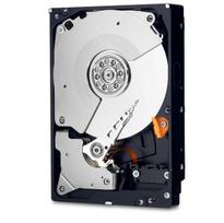 WESTERN DIGITALBlack 3,5" 4TB WD4005FZBX